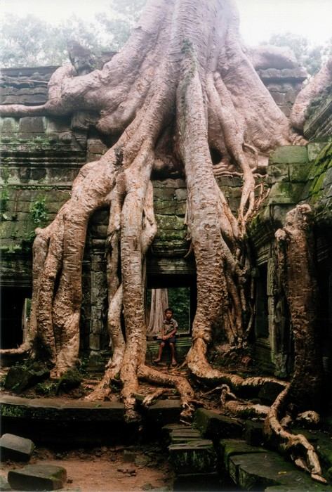 นครวัด (Angkor Wat)