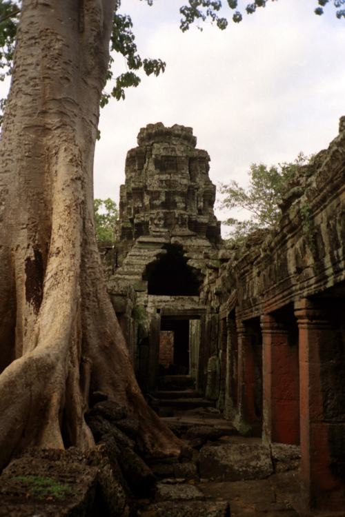 นครวัด (Angkor Wat)