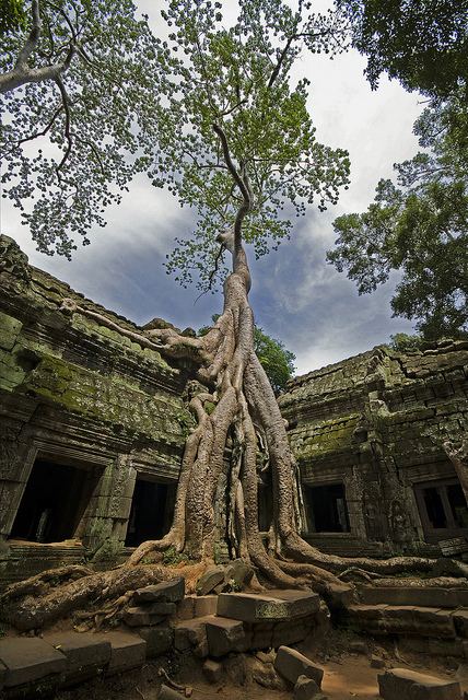 นครวัด (Angkor Wat)