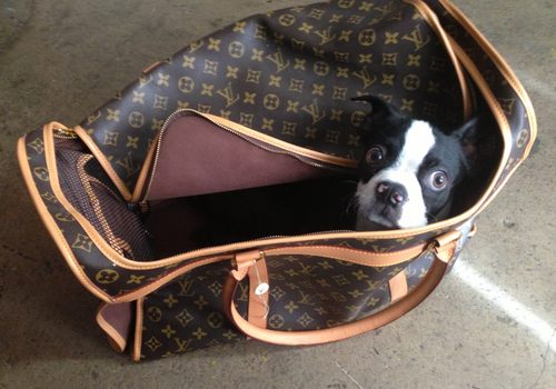 louis vuitton.....