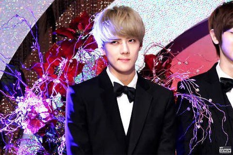 เน่เซฮุน