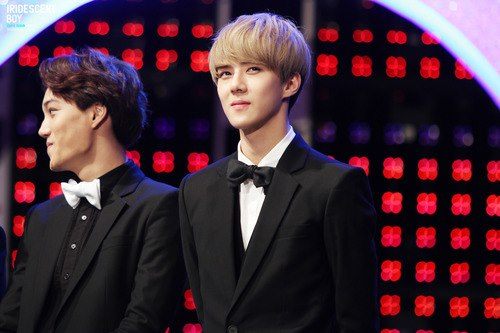 เน่เซฮุน