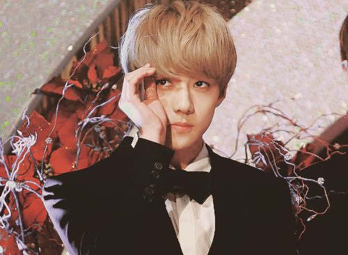 เน่เซฮุน
