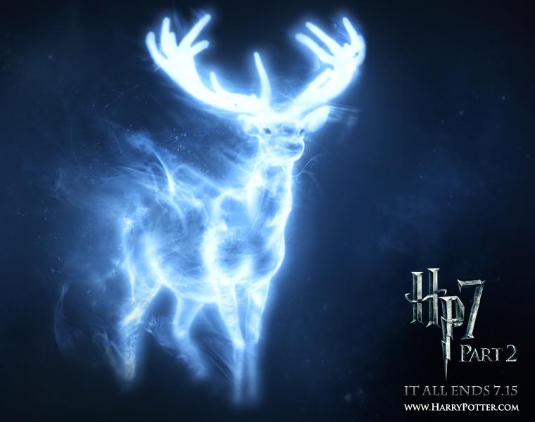 กวางตัวผู้ (stag) : แฮร์รี่ พอตเตอร์, เจมส์ พอตเตอร์