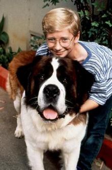 st. bernard...