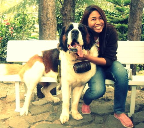 st. bernard...