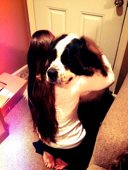 st. bernard...