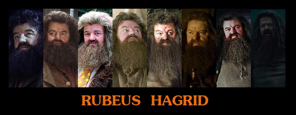 มาดู... พัฒนาการของเหล่านักแสดง Harry Potter