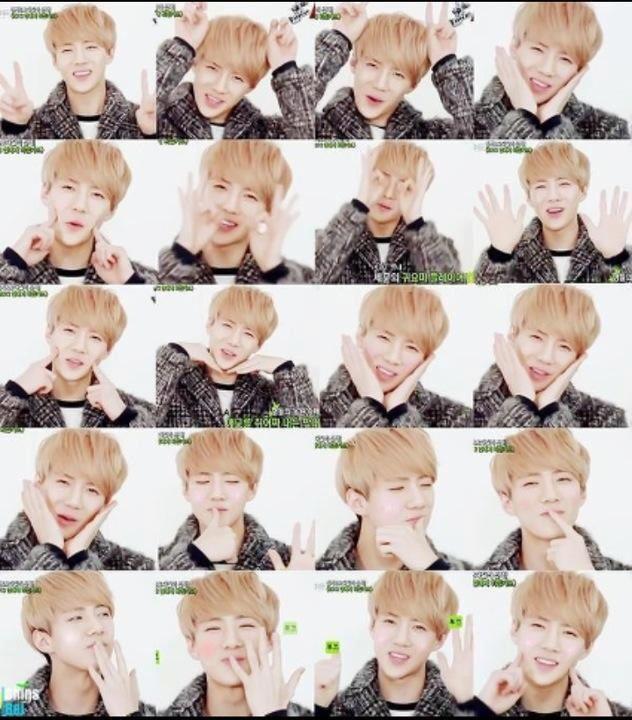 exo น่ารัก