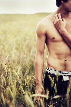 ฝันถึงหนุ่มหล่อ