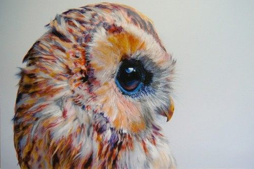 คนรัก รูปสวยชวนอาร์ต 60