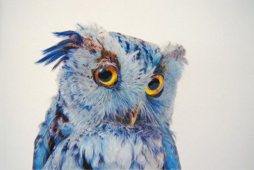 คนรัก รูปสวยชวนอาร์ต 60