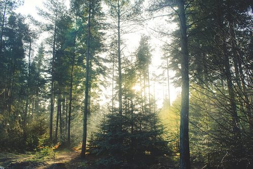 ภาพถ่ายสวยๆ จาก tumblr
