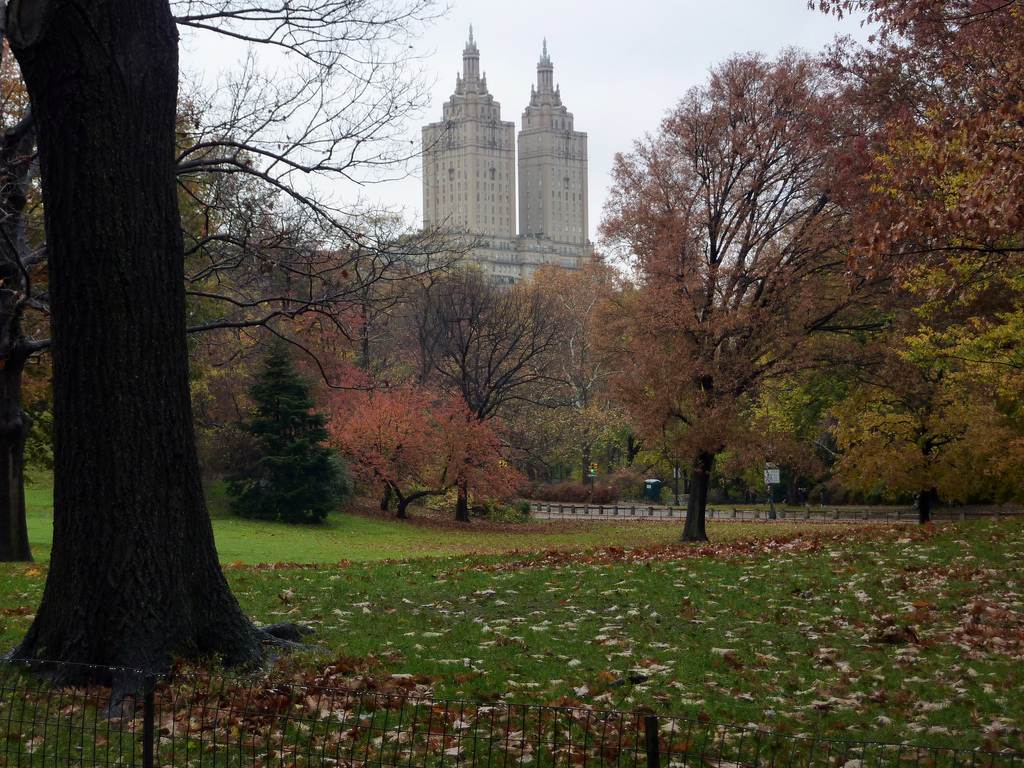 มหานครนิวยอร์ค(New York City) สหรัฐอเมริกา