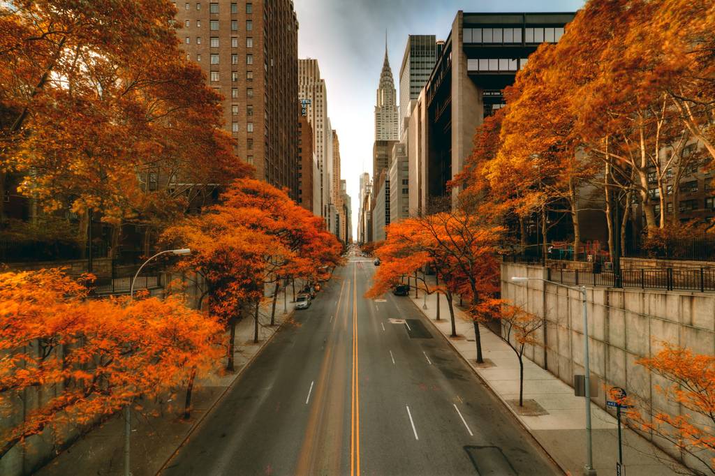 มหานครนิวยอร์ค(New York City) สหรัฐอเมริกา