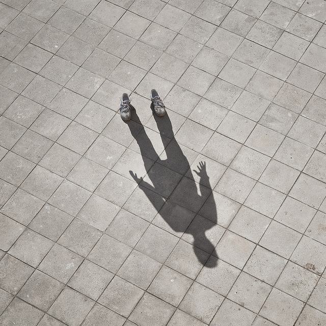 แค่เงา