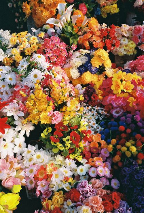 คนรัก รูปสวยชวนอาร์ต 62