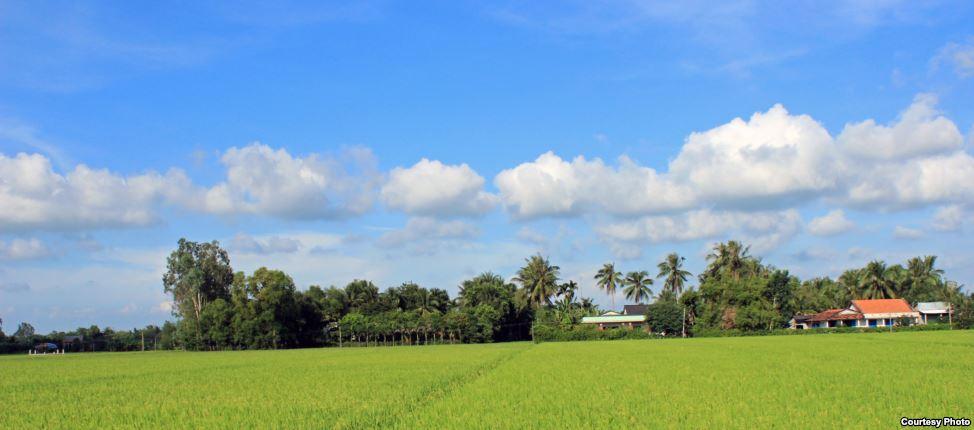 ภาพจากทั่วทุกมุมโลกในปี2013