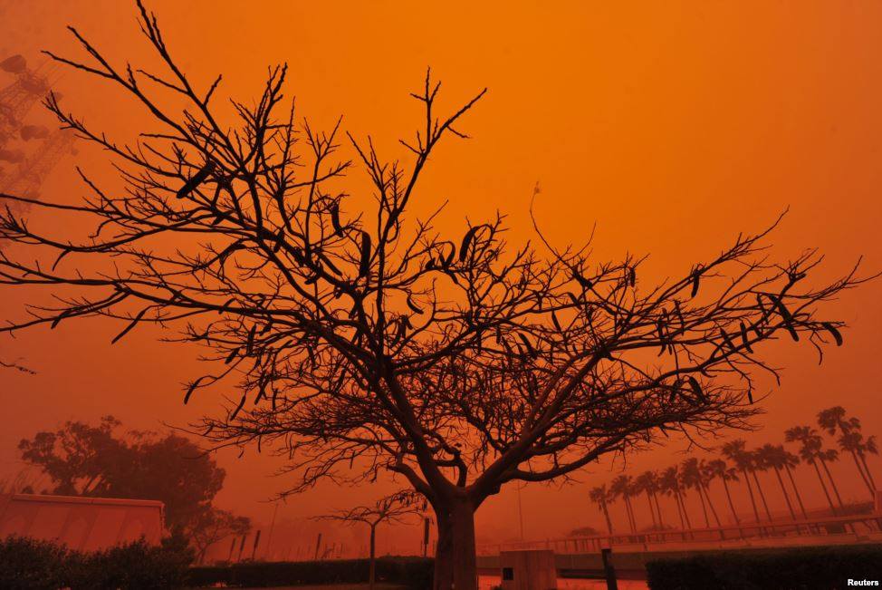 ภาพจากทั่วทุกมุมโลกในปี2013