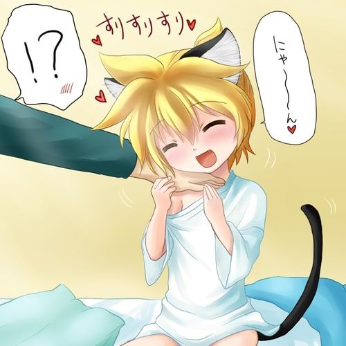 YAOI 211