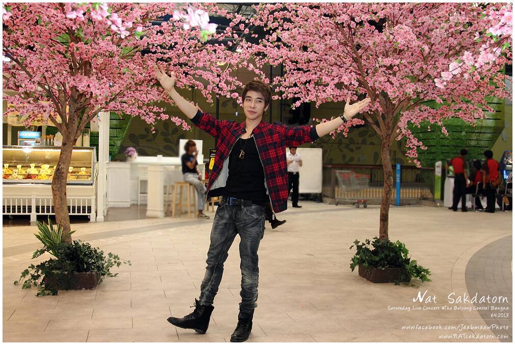 Nat Sakdatorn : Sakura, The Series