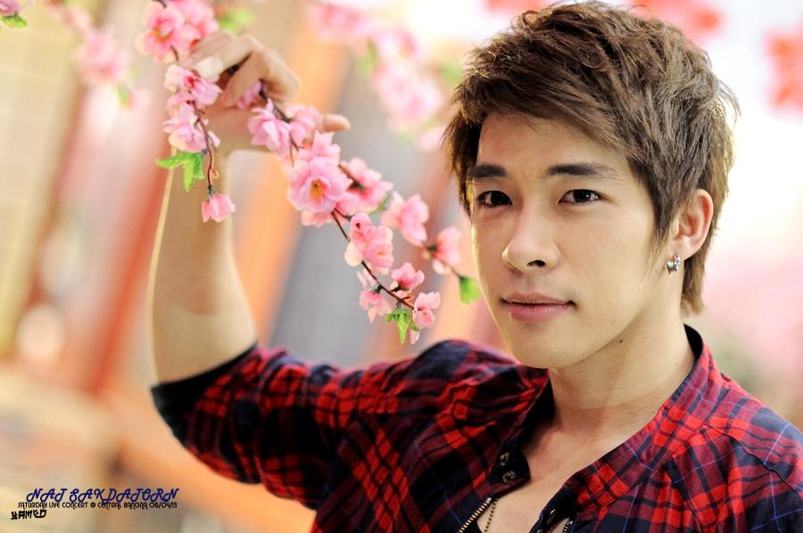 Nat Sakdatorn : Sakura, The Series