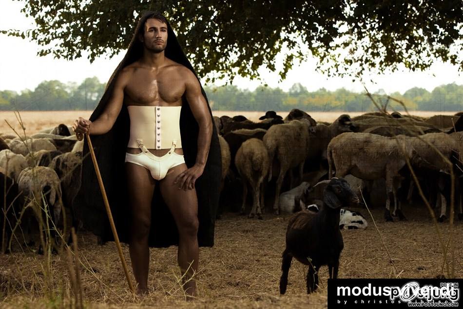 Modus Vivendi &ndash; Shepherd Line [Retro Greece collection] : HQ images