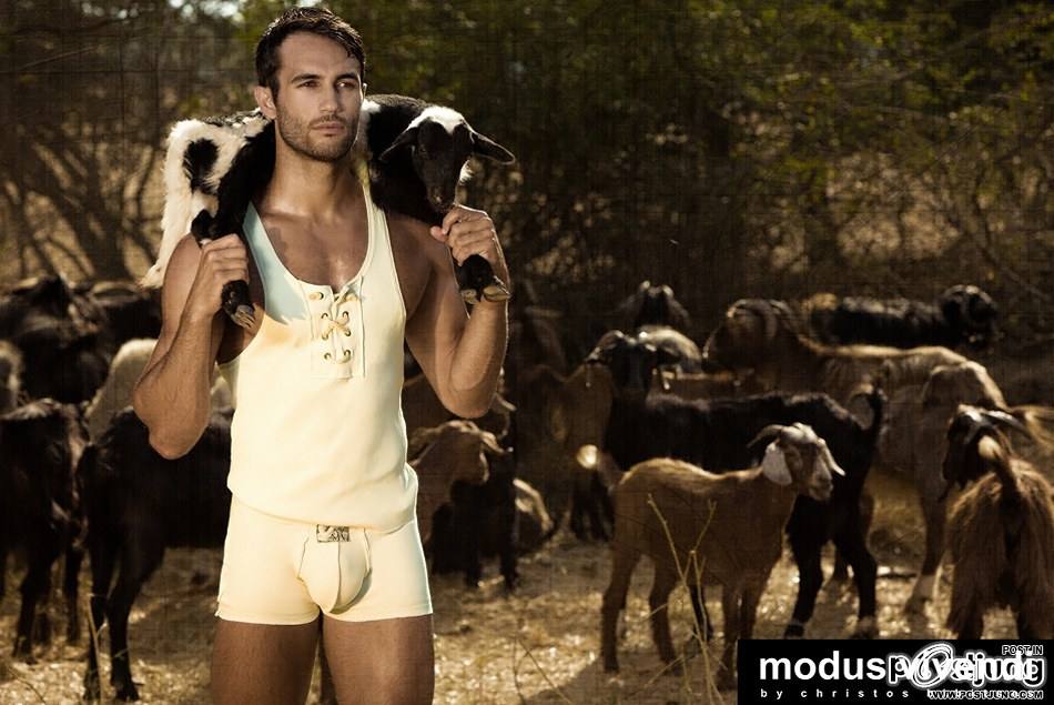 Modus Vivendi &ndash; Shepherd Line [Retro Greece collection] : HQ images