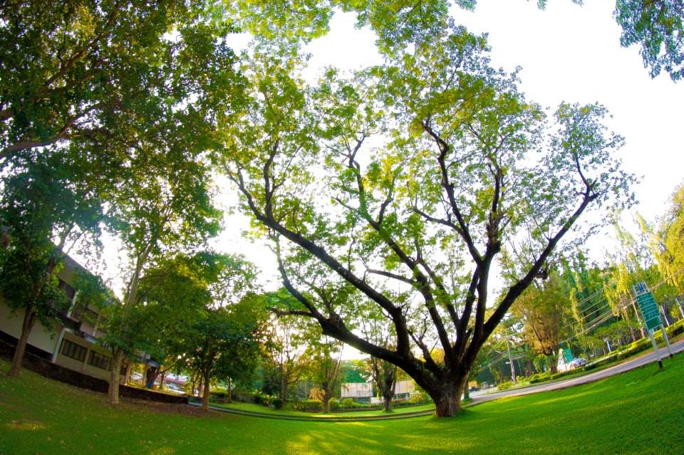 ที่นี่ ... มหาวิทยาลัยขอนแก่น
