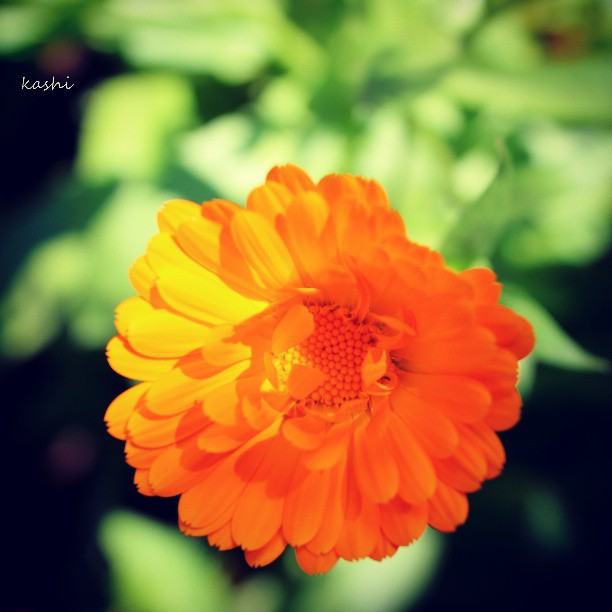 สีสันบนโลก 10