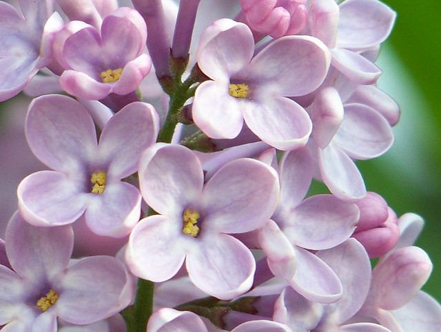 สีสันบนโลก 10