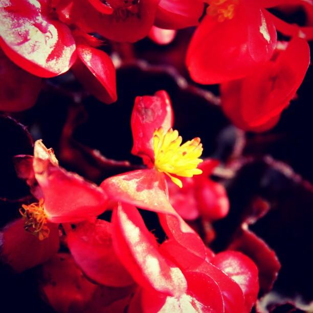 สีสันบนโลก 11