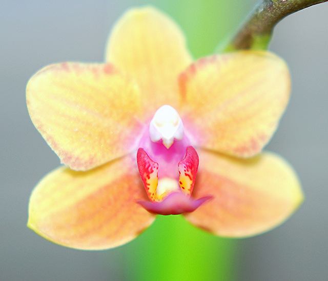 สีสันบนโลก 11