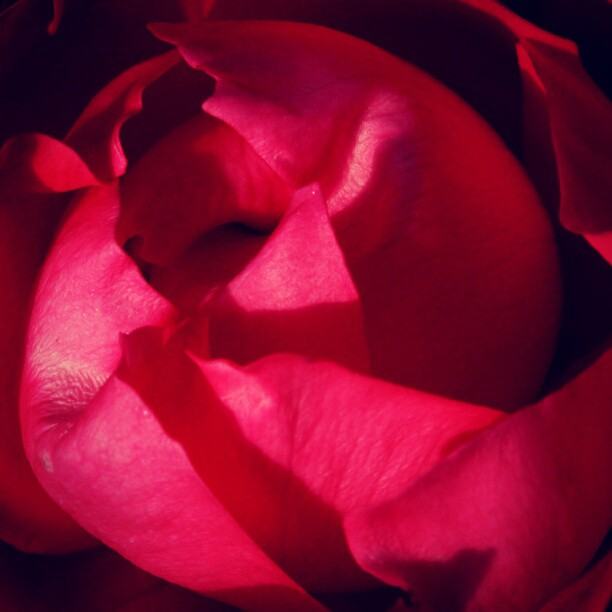 สีสันบนโลก 11