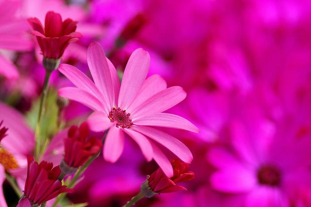 สีสันบนโลก 11