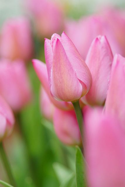 สีสันบนโลก 11