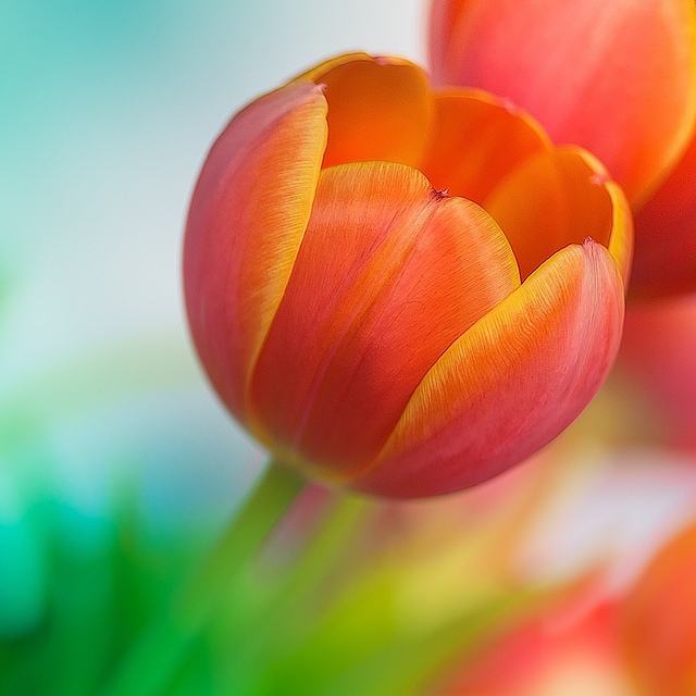 สีสันบนโลก 11