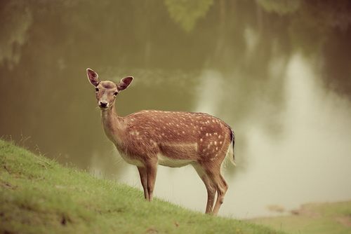 A beautiful World 14