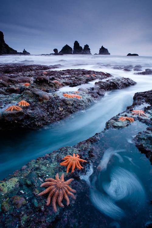 A beautiful World 14
