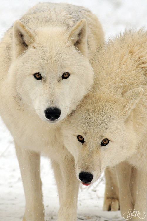 A beautiful World 14