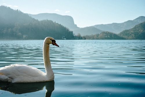 A beautiful World 14