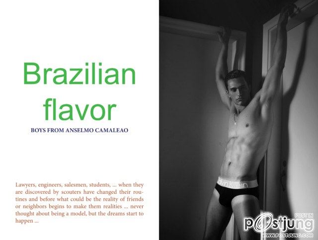 BRAZILIAN FLAVOR