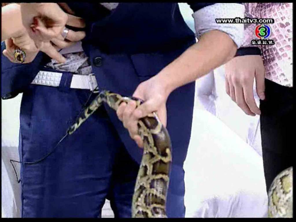 งูพิเรน สอดหางเข้าไปได้นะ นั้นมันของคนนะ // เสียวแทน เนตั้น หล๊ายหลาย //