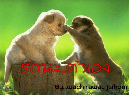 การจะมีรักใหม่..มันต้องใช้เวลา