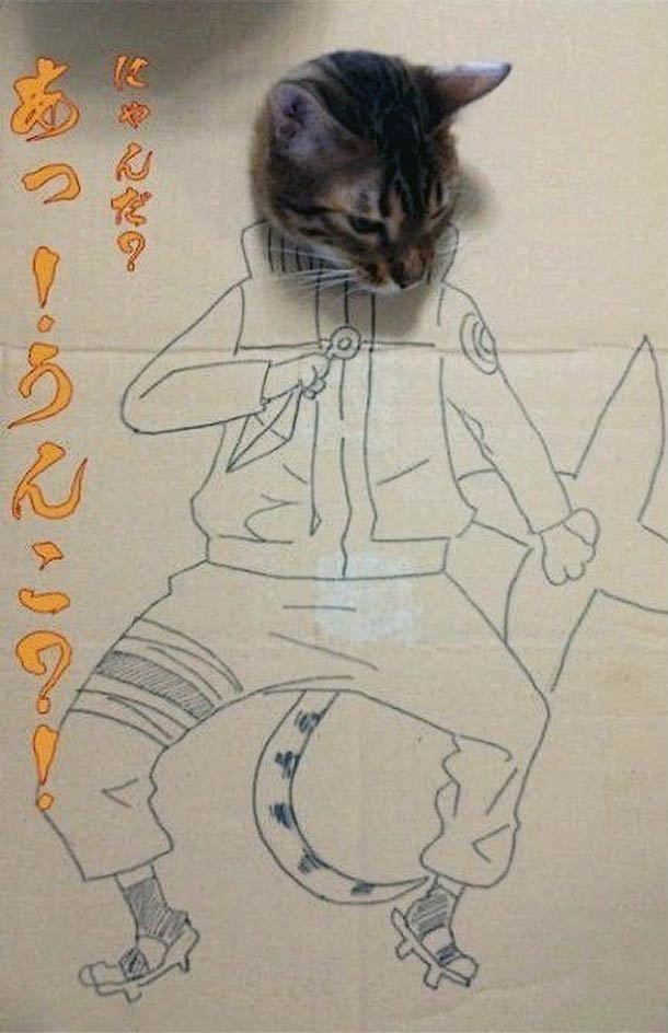 กิ๊บเก๋ เหมียว เหมียว