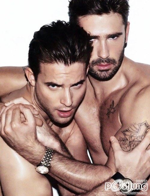 Anthony Greenfield