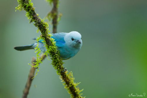 A beautiful World 15