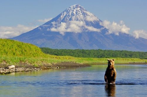 A beautiful World 15