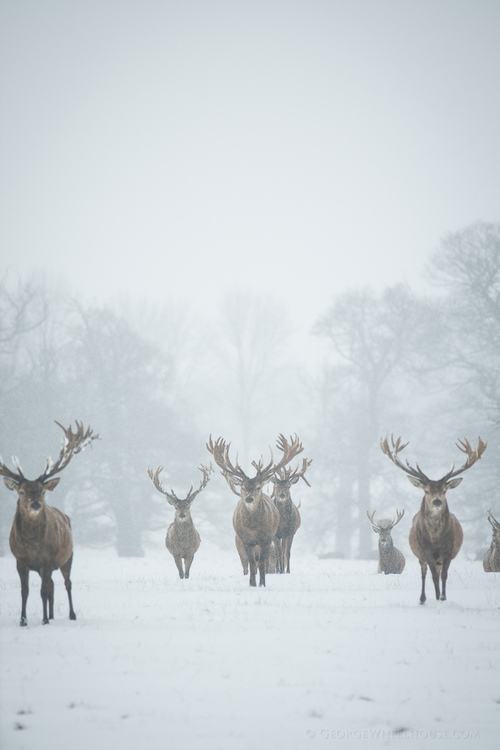 A beautiful World 15