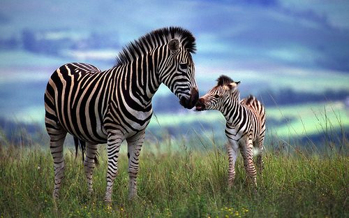 A beautiful World 15
